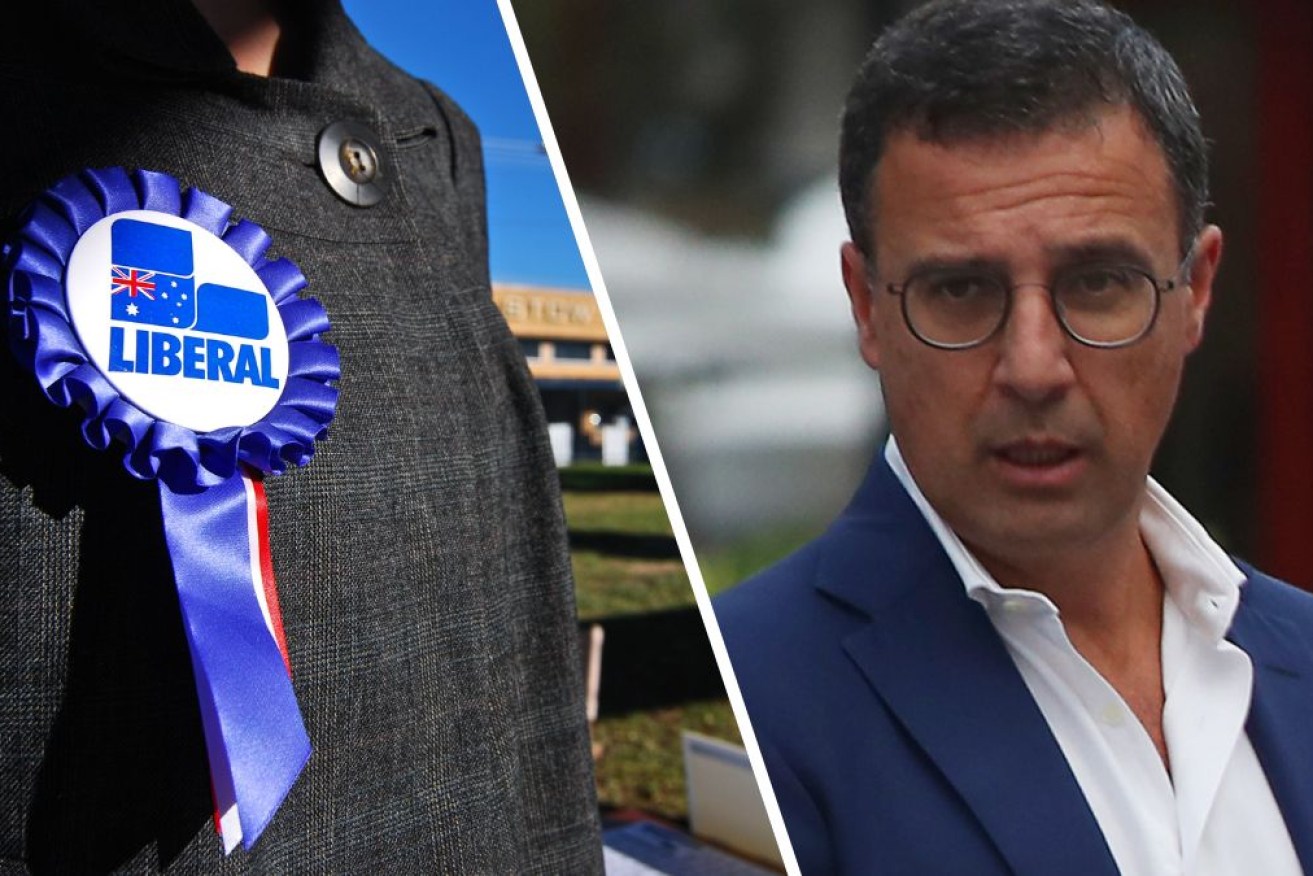 Richard Shields has been sacked as the Liberals' NSW director amid the fallout from the council election bungle.