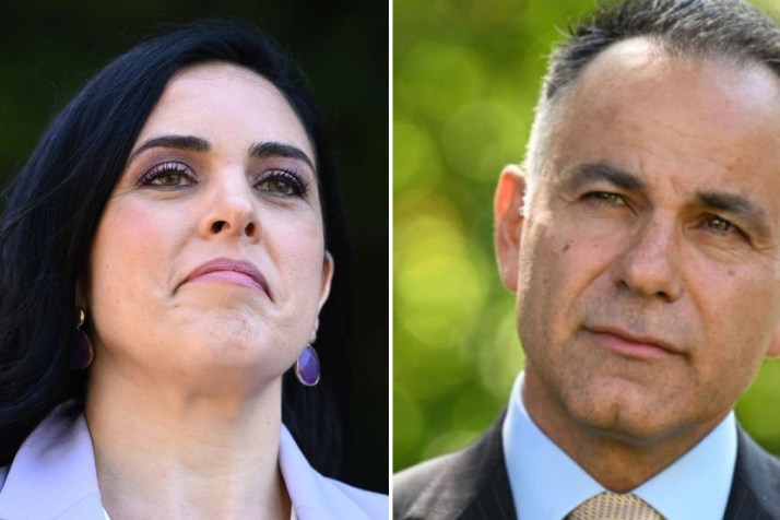 Ex-Liberal leader’s $2.3m bill sparks by-election fears