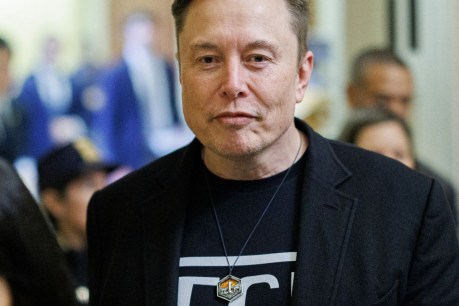 Trump tells inner circle Musk will leave soon