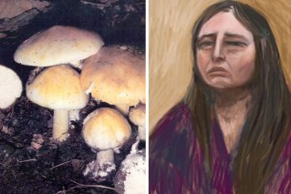 Approach to mushroom murder case 'flawed'