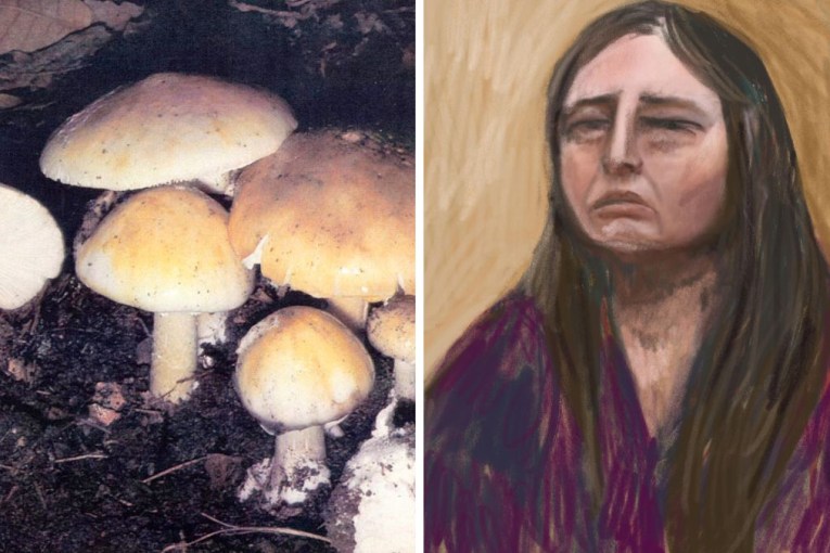 Approach to mushroom murder case 'flawed'