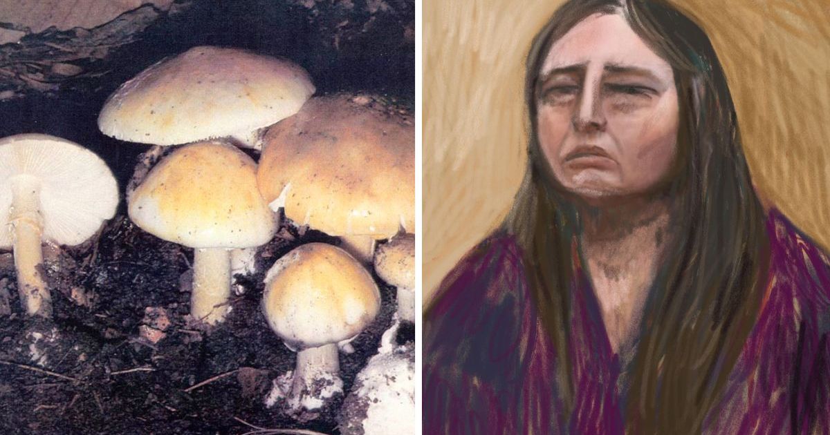 Approach to mushroom murder case 'flawed': Defence