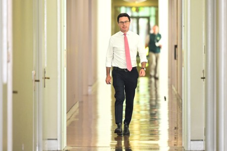 Littleproud survives Nats leadership threat