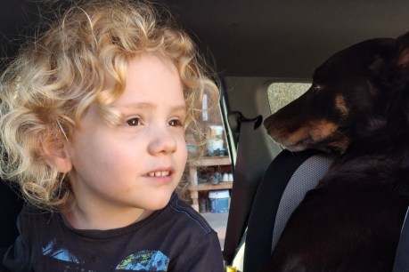 Rain brings hope of solving Gus mystery
