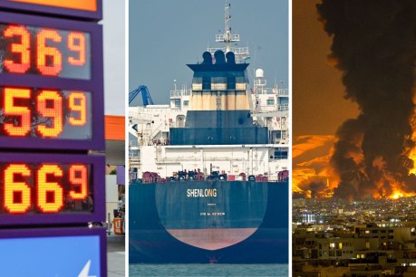 'Restrict supplies, push up prices': Petrol threat