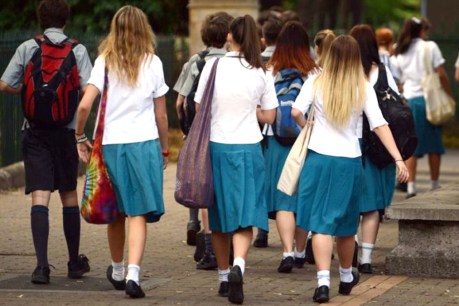 Should private schools share their facilities with public students?