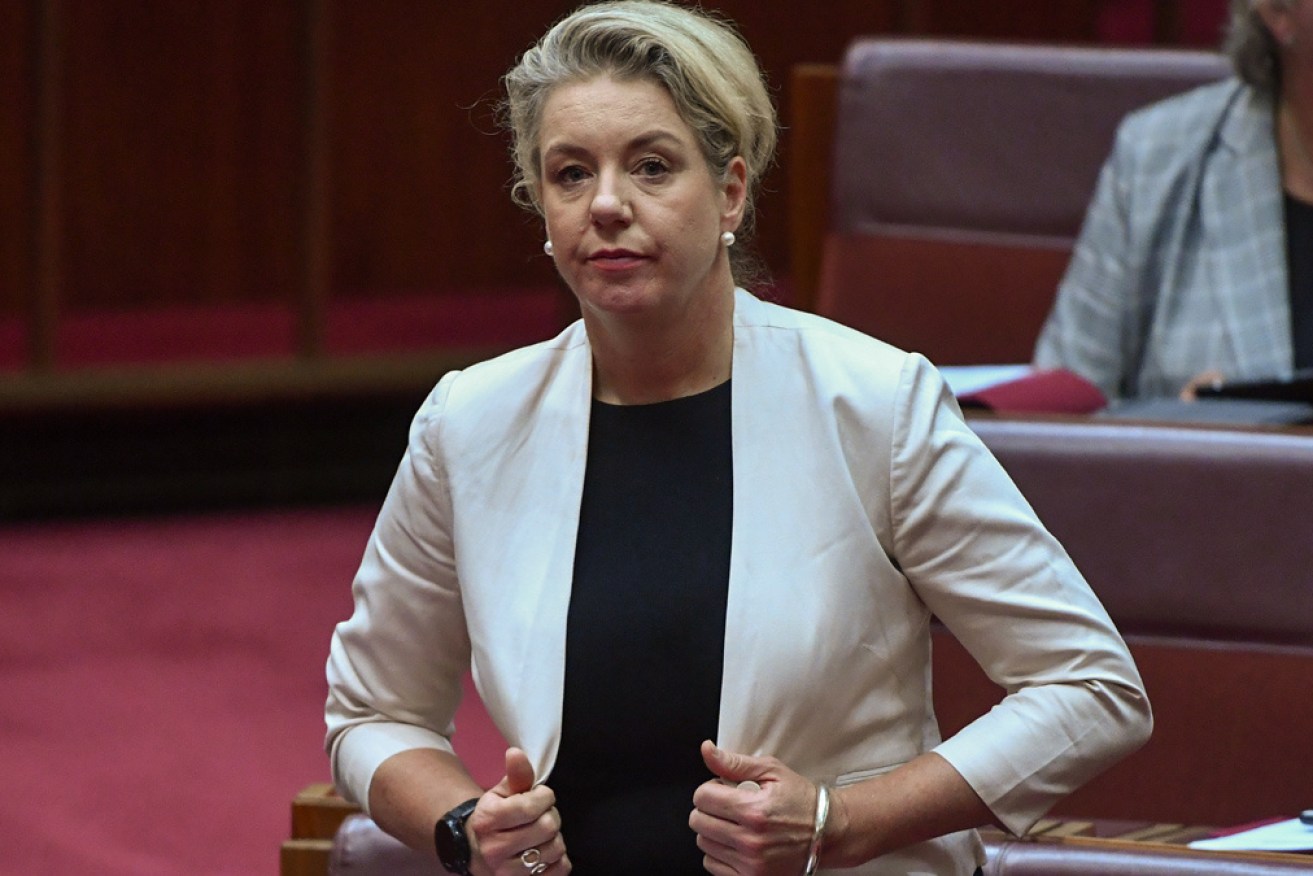 Bridget McKenzie was one of four Nationals on a subcommittee that thrashed out the party's climate demands in the past. Photo: Getty