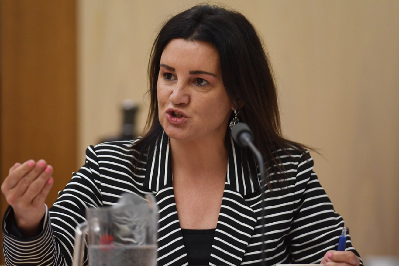 Tasmanian senator Jacqui Lambie says the federal government's university fee changes are a "dog's breakfast".