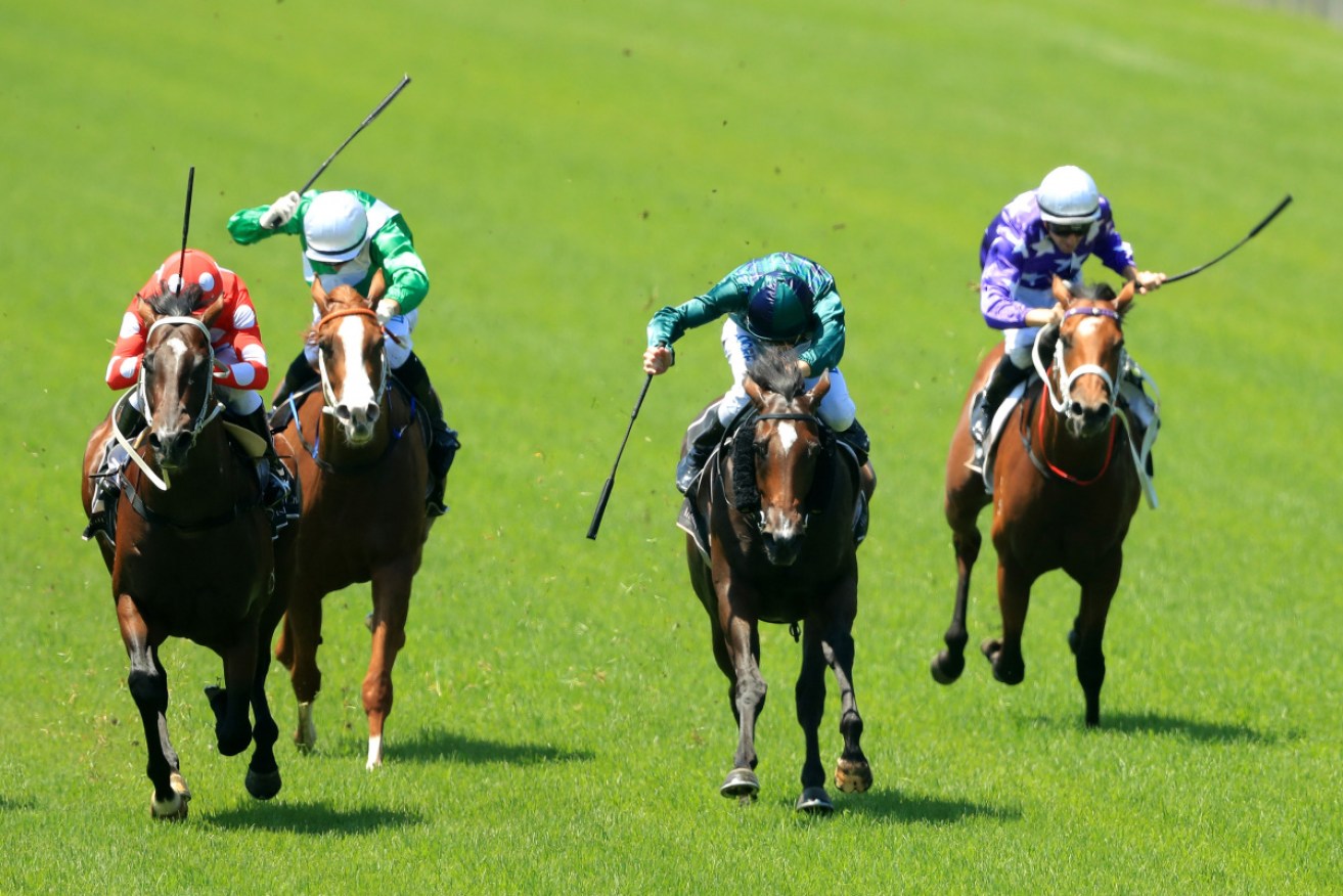 Jockeys whip their horses as Christian Reith on Sandbar wins a 2018 race at Sydney's Warwick Farm.