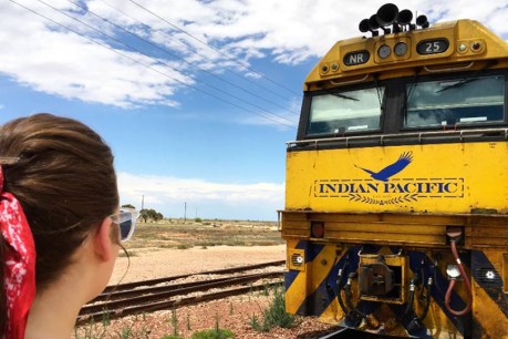 Gastro outbreak hits more than 100 passengers on Indian Pacific train