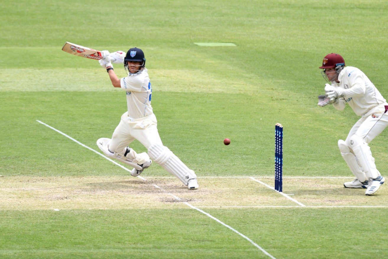 David Warner on the attack in the Sheffield Shield. 