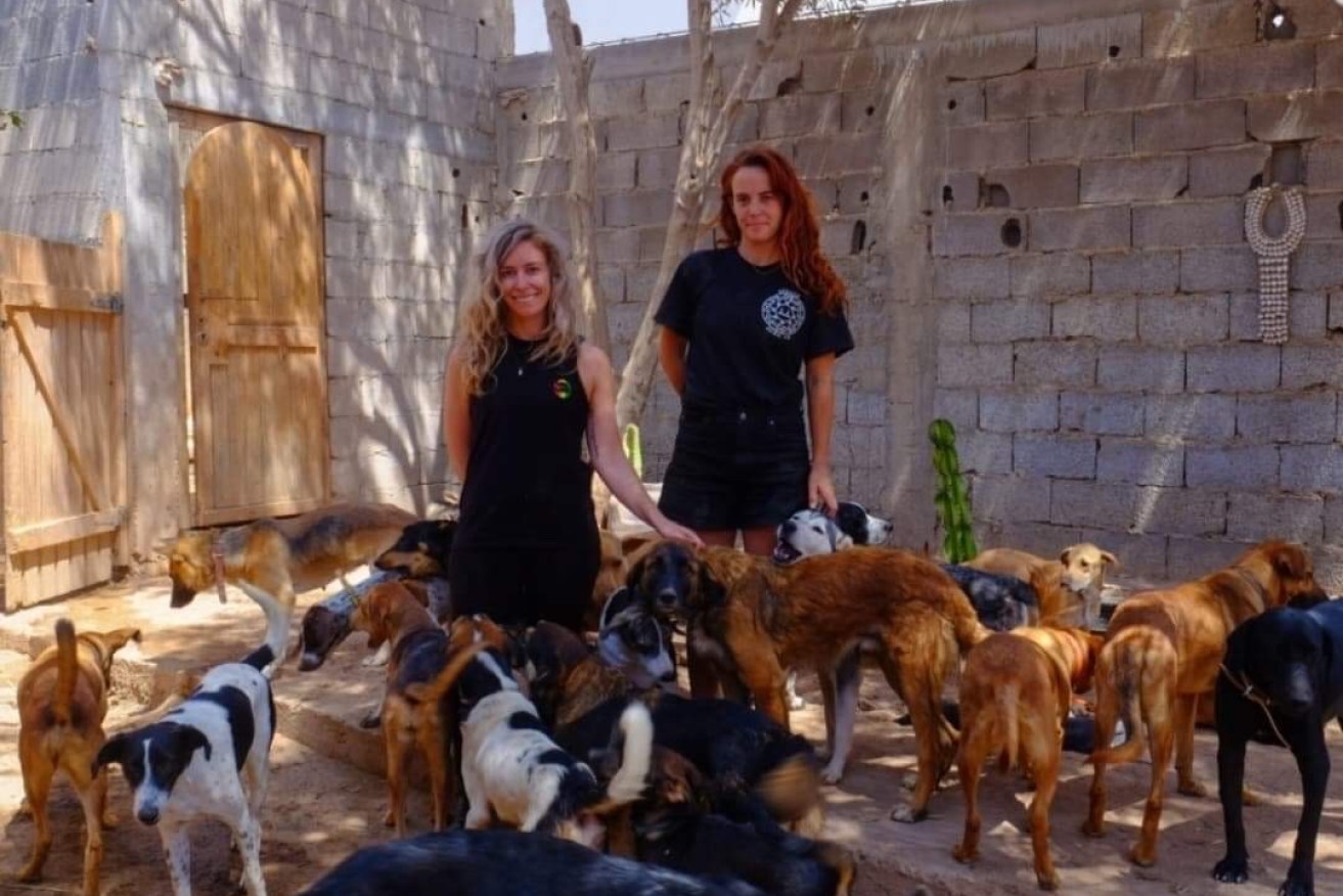 Megan Bannon and Lucy Austin are on a mission to re-home the animals that faced certain death. 