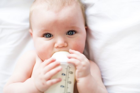 The benefits of goat’s milk formula for toddlers