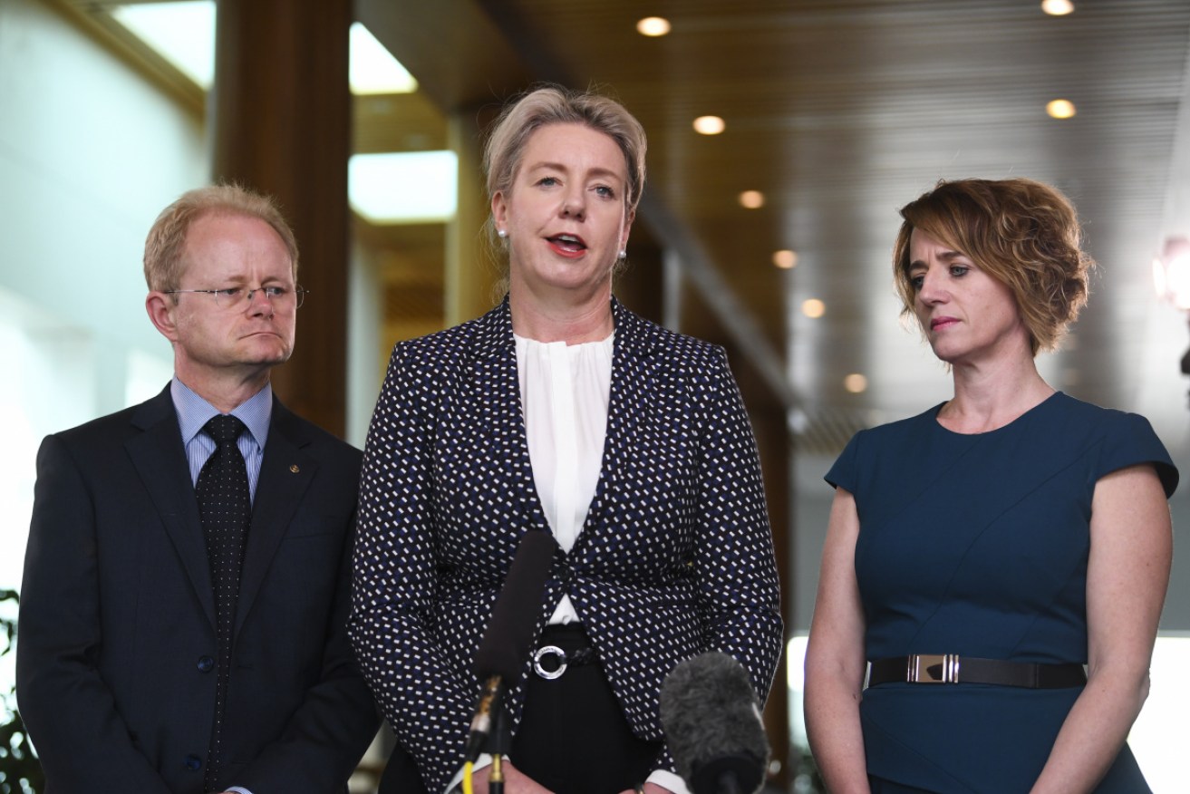 Agriculture Minister Bridget McKenzie has revealed a Vietnamese woman had her visa cancelled for trying to bring pork to Australia