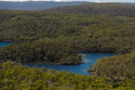 Lake Malbena eco-tourism proposal gets the green light from planning tribunal