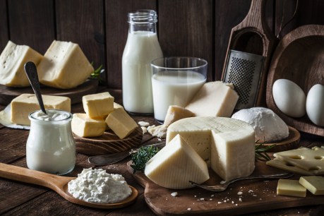 Men who eat lots of dairy products at greater risk of prostate cancer: Study