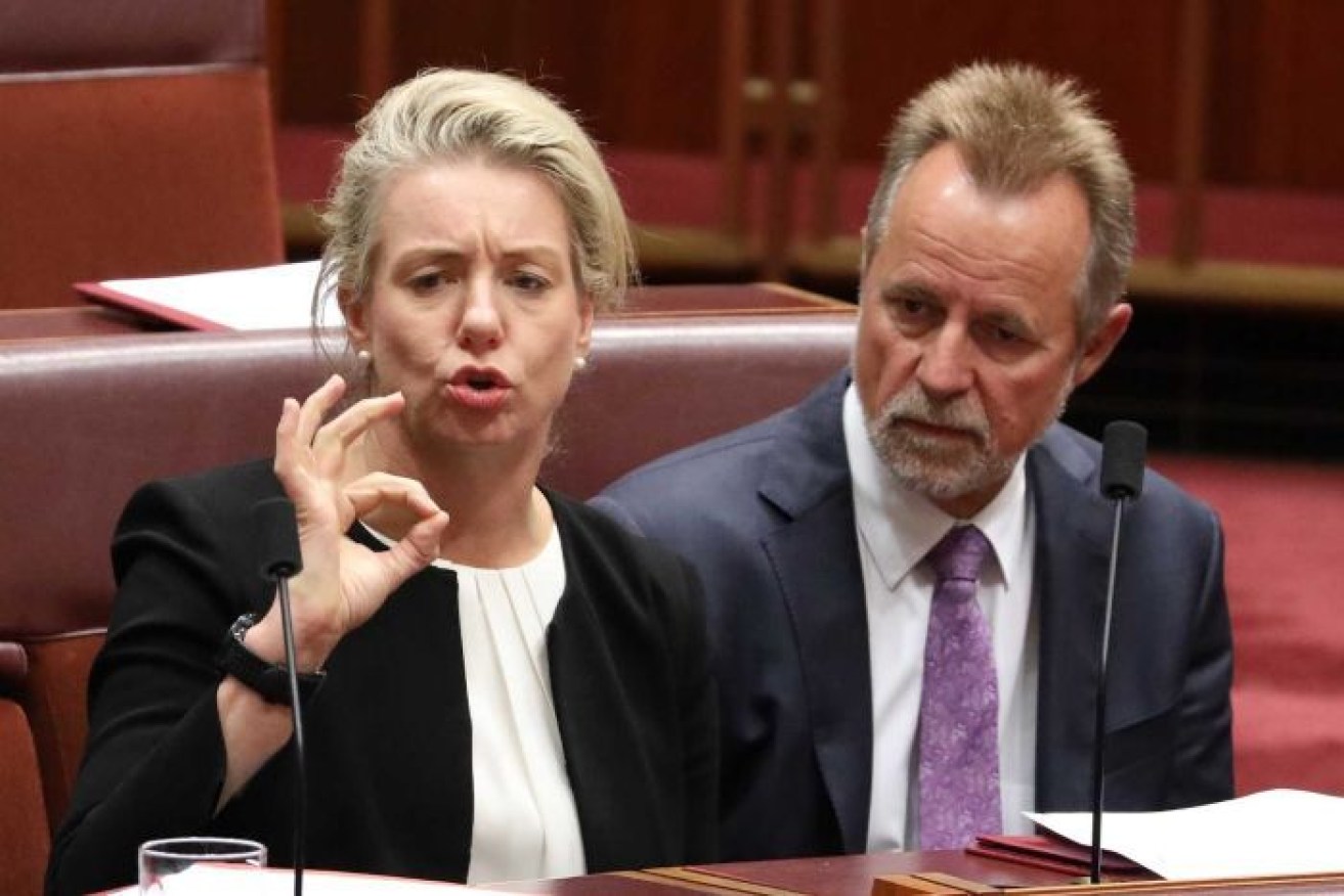 Former sports minister Senator Bridget McKenzie was a prominent campaigner in this year's election.