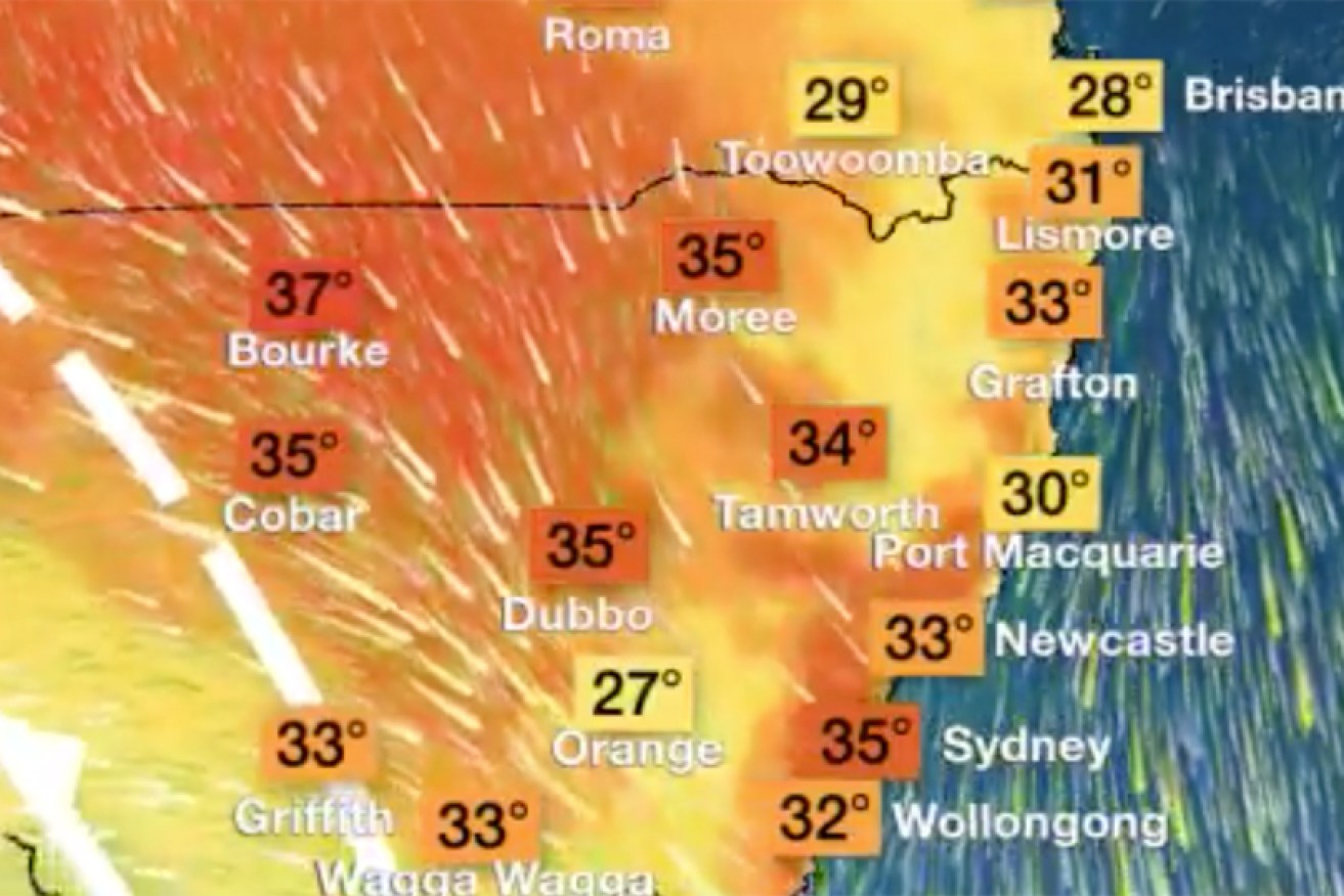 Forecast highs for NSW at midday on Friday.