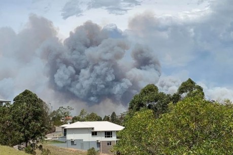 Homes burn, towns under threat: NSW firefighters battle scores of blazes