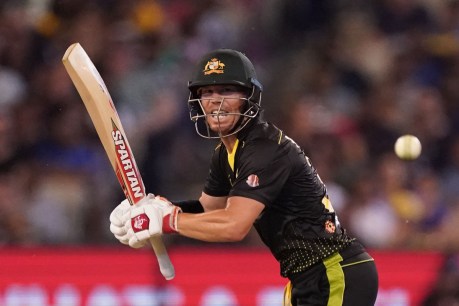 ‘It helps when you&#8217;ve got momentum’: Warner sets up big summer with T20 form