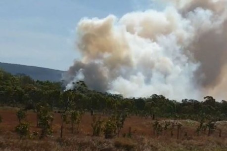 Cooktown bushfire burns down one house, unlikely to reach township