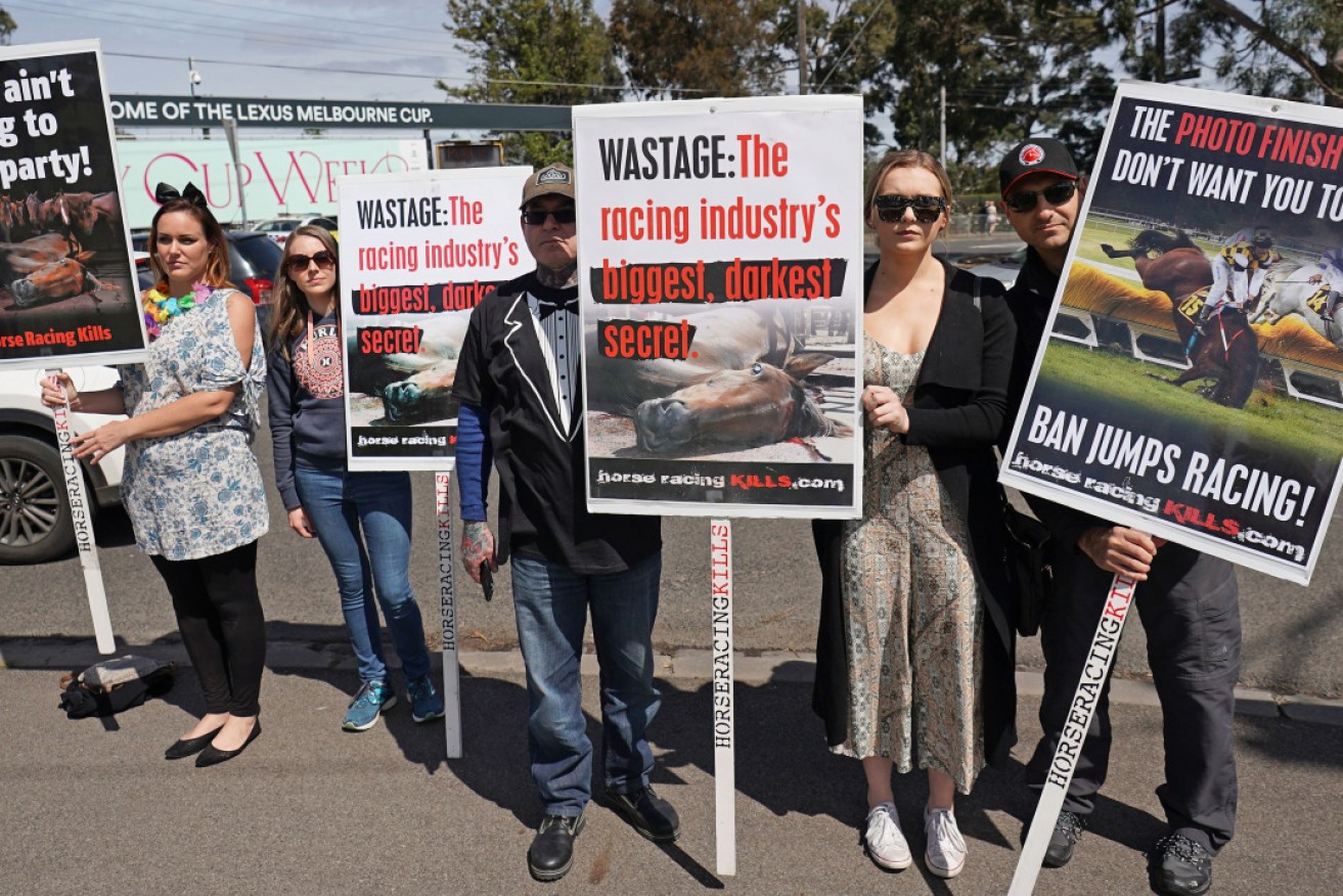Animal rights activists protest Melbourne Cup Day.