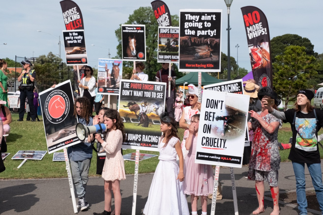 Animal rights protestors and racegoers clashed at this year's Melbourne Cup. 