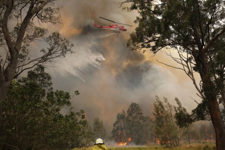 Armed forces may help with bushfires: PM