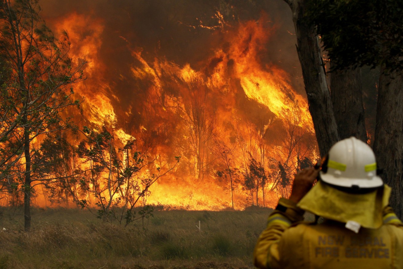 Children can feel the pressure and fear from bushfires, too.