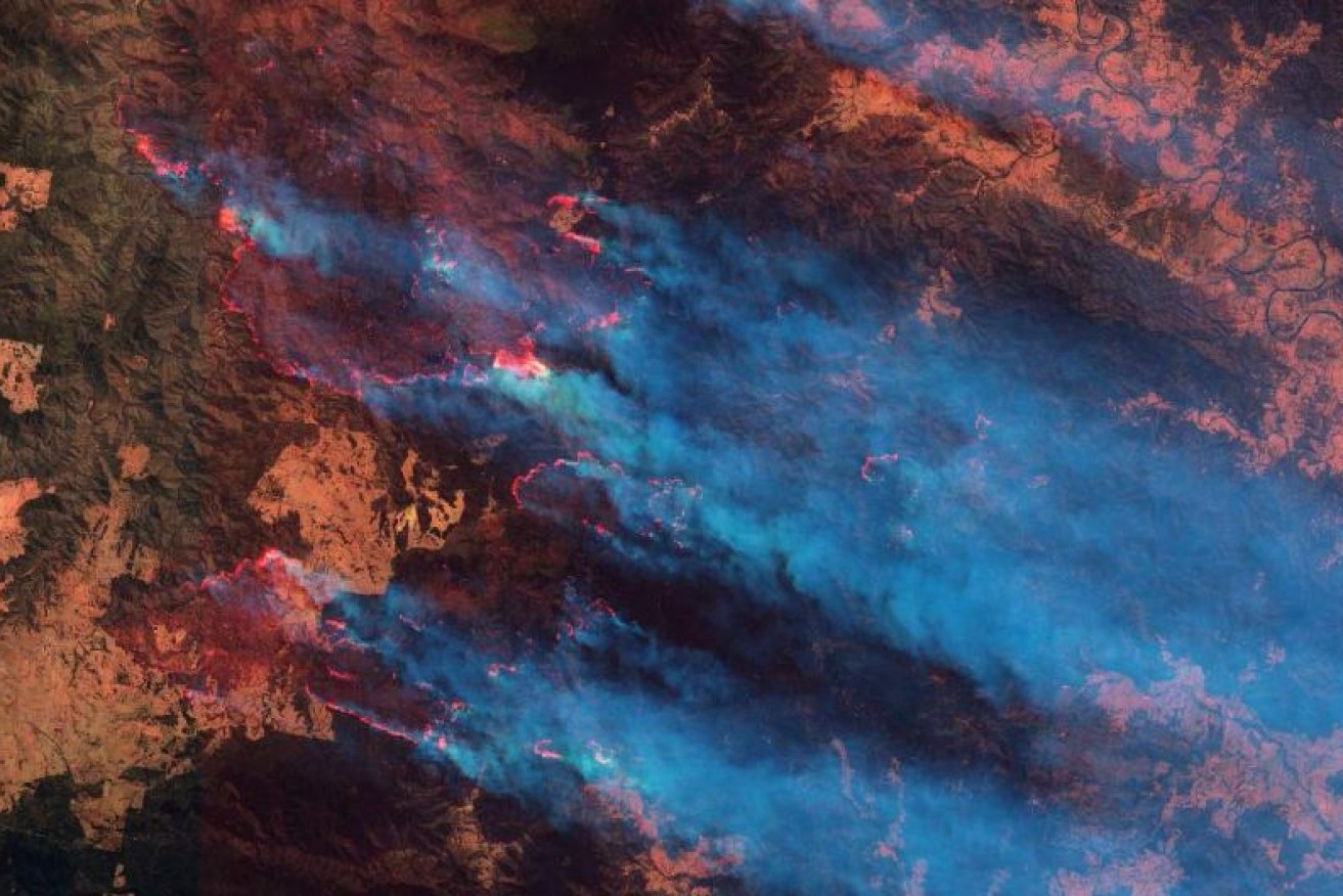 The fire front in NSW's Willi Willi National Park, as seen from space.