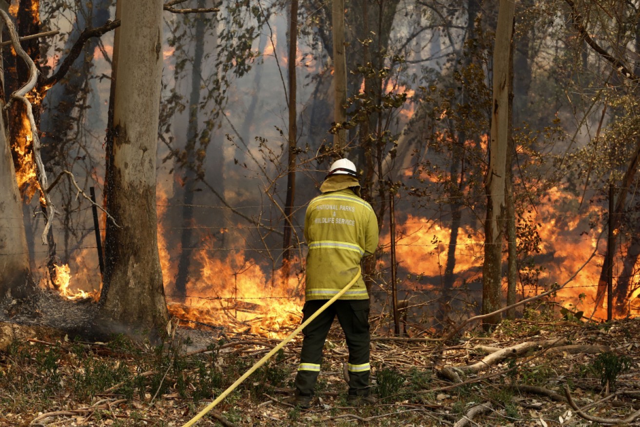 A National Parks and Wildlife crew member fights flames near Taree.