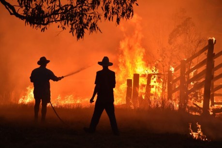 The link between climate change and our bushfire holocaust