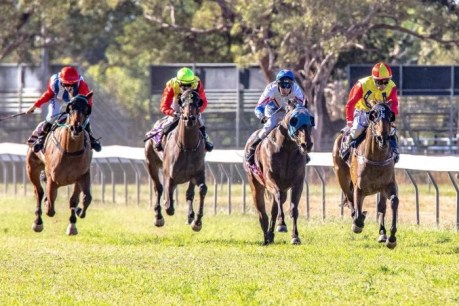 WA racing industry overhaul to track the welfare and whereabouts of retired racehorses
