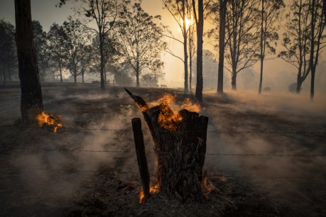 While Australia burns, the world watches our credibility go up in smoke