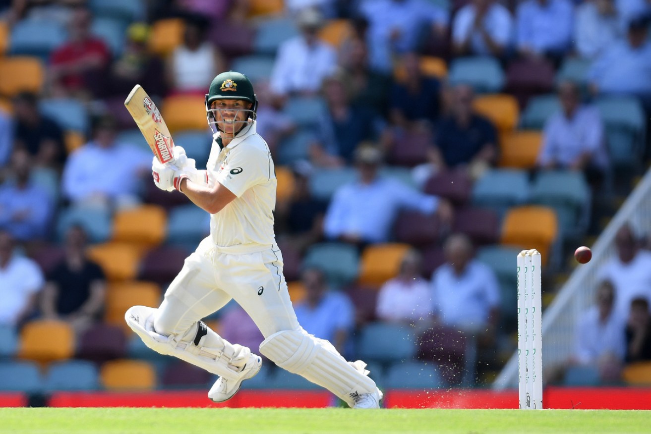 David Warner was in strong form on day two. 