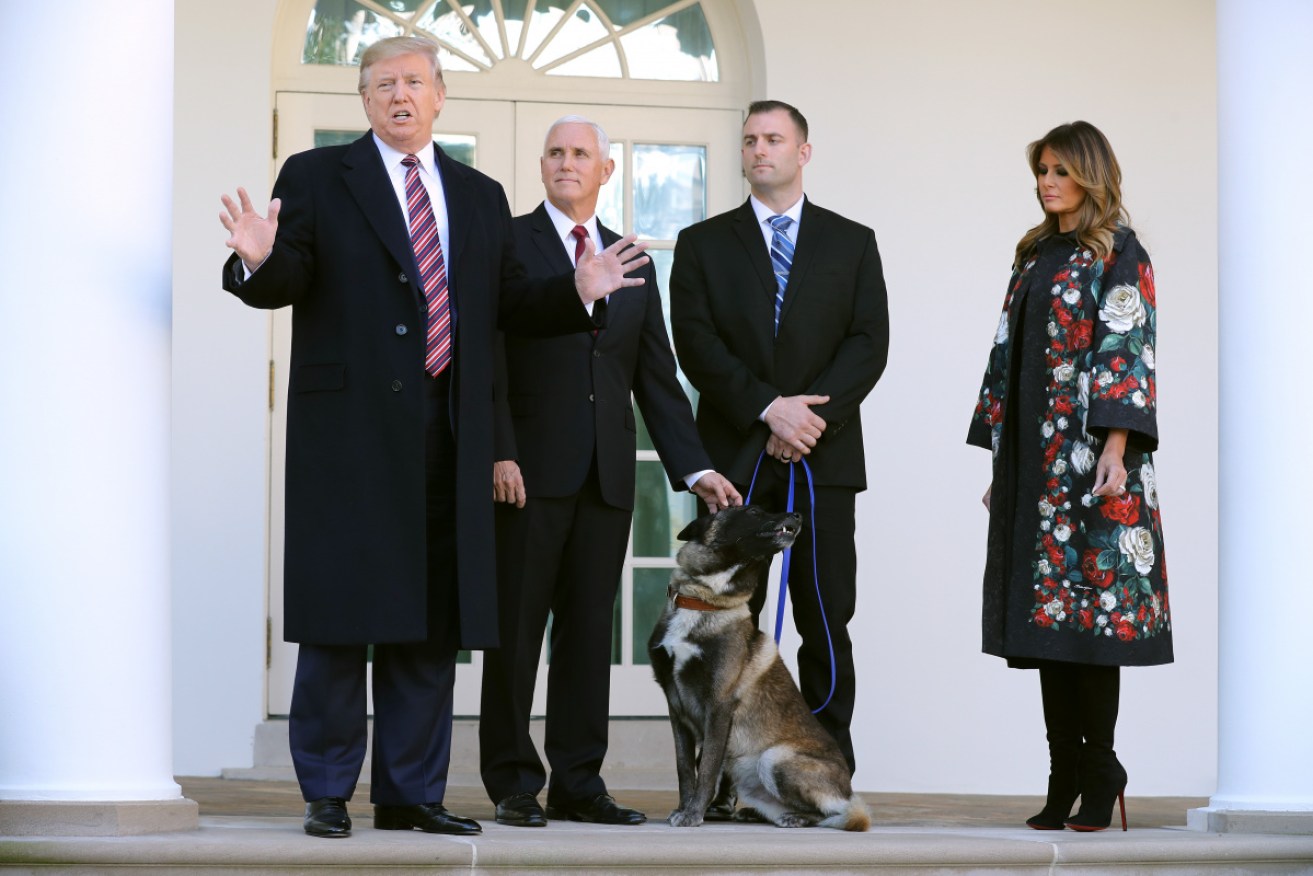 Conan got a hero's welcome at the White House but was more interested in head scratches.
