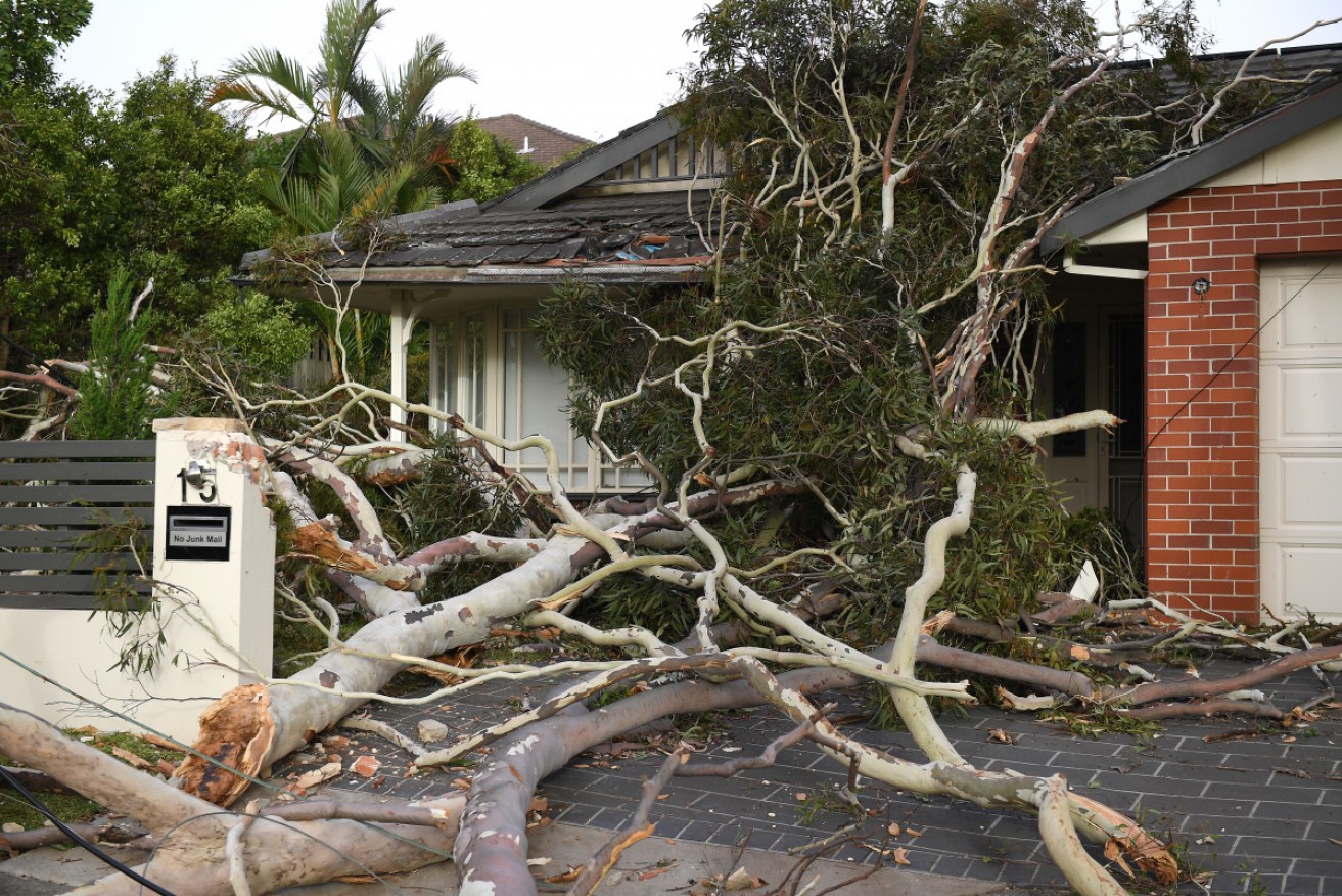 As of 11am on Saturday, nearly 10,000 residents were still without power on Sydney's North Shore after storms five days earlier.
