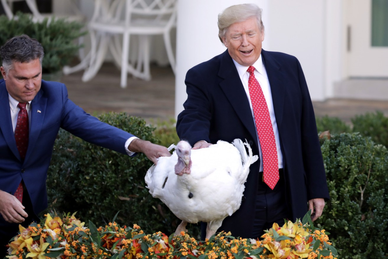US President Donald Trump has told impeachment jokes at the annual pardoning of Thanksgiving turkeys at the White House.