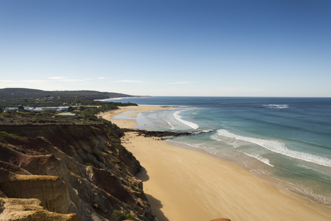 The gentle waves at Anglesea beach are a draw for beginner surfers.