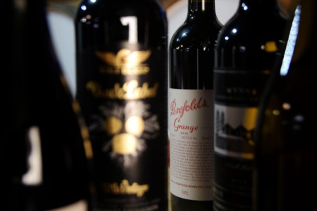 Counterfeit Bootleg Latest News - Breaking Australian and World News | The New Daily