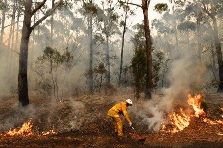 NSW government announces bushfire inquiry