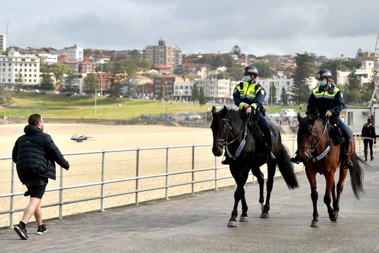 A Sydney man allegedly threatened on a news website to harm Mounted Unit horses.