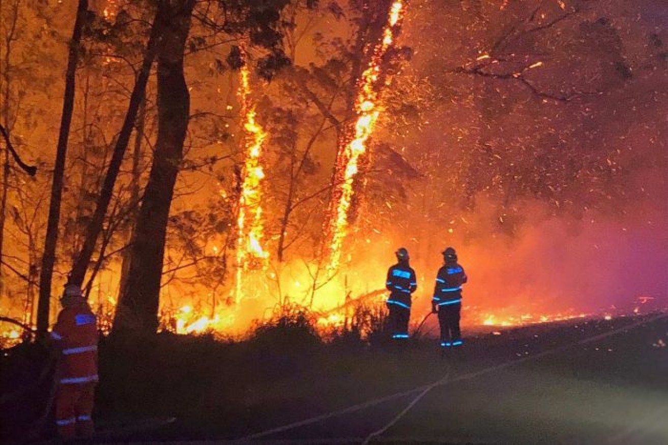 There are growing calls for a co-ordinated national response to this year's bushfire season.