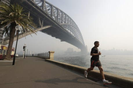 Sydney smoke three times worse this bushfire season, but health effects unknown