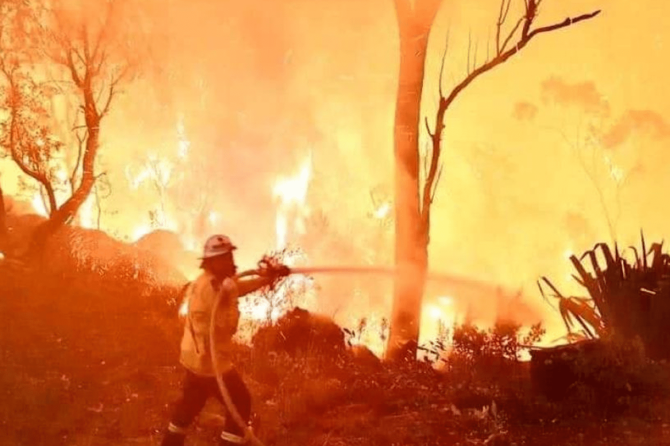 A firefighter and his hose confront a wall of flame near Mangrove Mountain.
