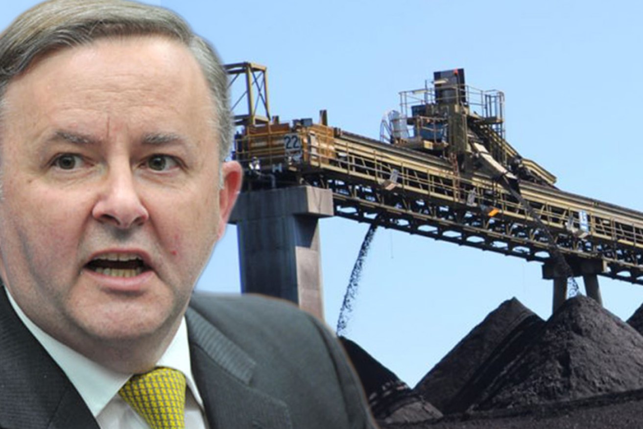 Anthony Albanese has restated Labor's pledge to reach net zero carbon emissions by 2050,