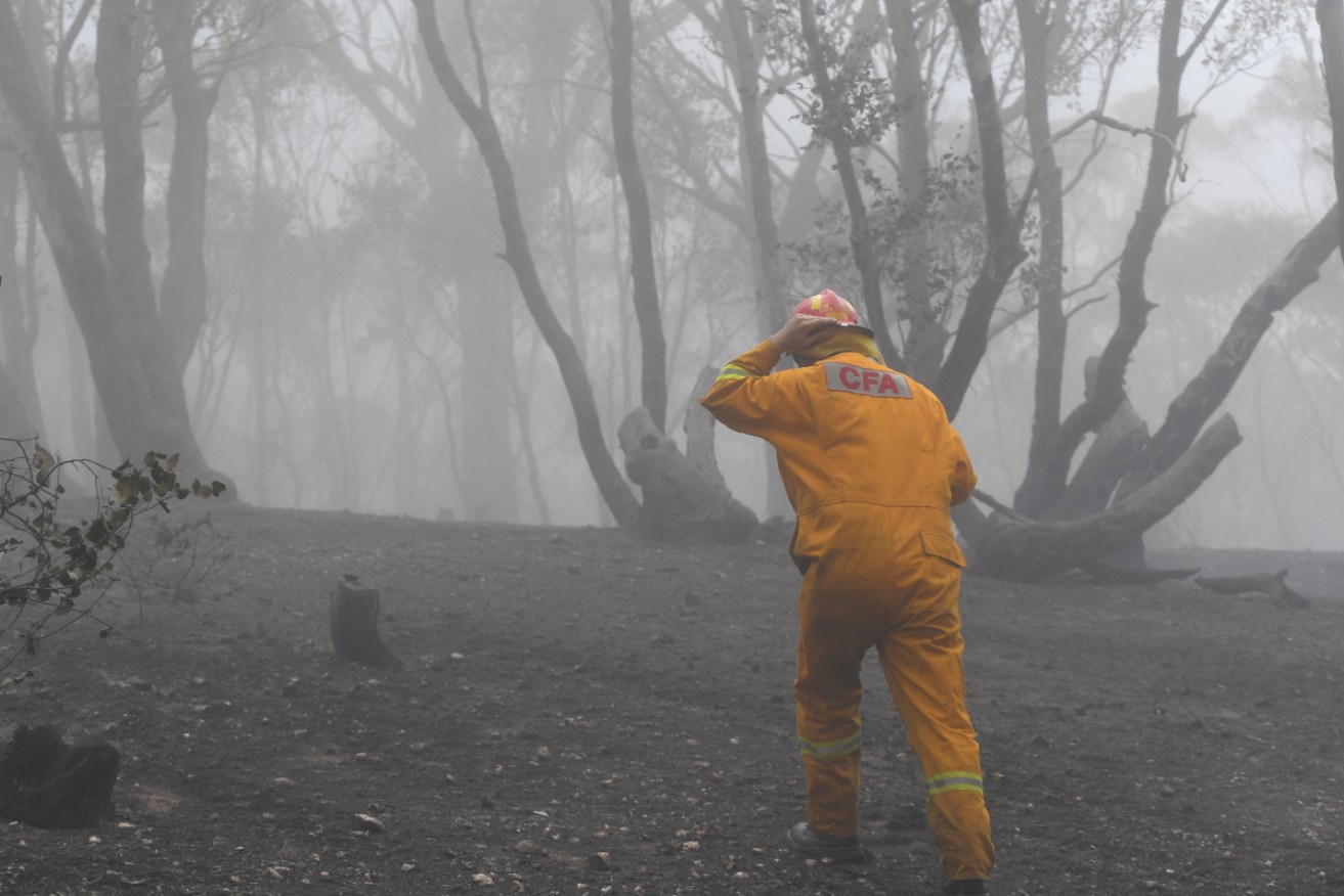 Bush firefighters are in short supply as Victoria approaches what experts predict will be a scorching summer, 