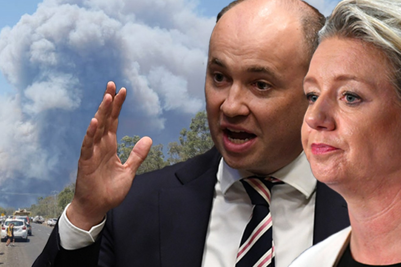 NSW Environment Minister Matt Kean and Nationals deputy leader Bridget McKenzie have been sparring for days.