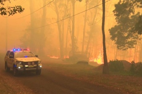 Homes believed lost in NSW &#8216;mega blaze&#8217; as firefighters tackle 70-metre flames