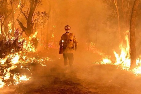 Bushfire research centre on the brink of closure despite deadly summer fires